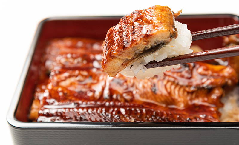 2022年7月占い　うなぎイメージ