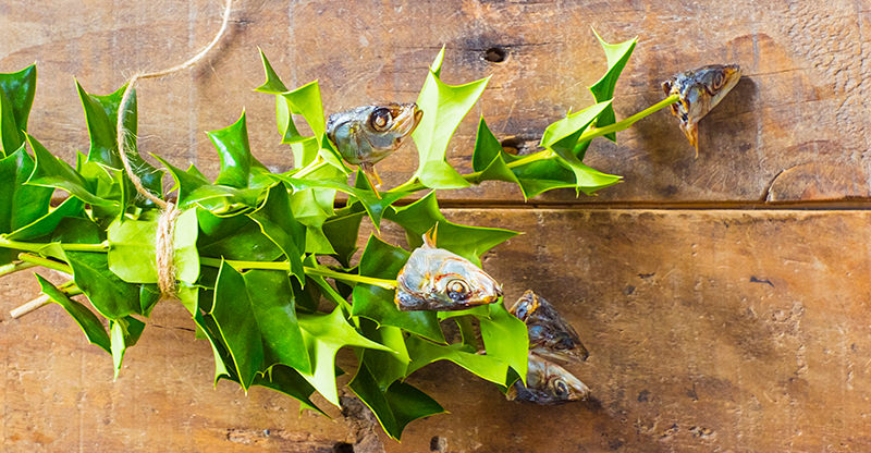 柊とイワシの頭