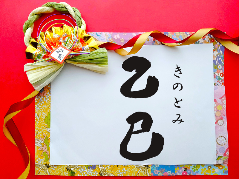 乙巳（きのとみ）二黒土星